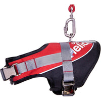 Dog Helios ® 'Bark-Mudder' 2-in-1 Reflective and Adjustable Sporty Dog Harness and Leash - BIG FRENCHIES