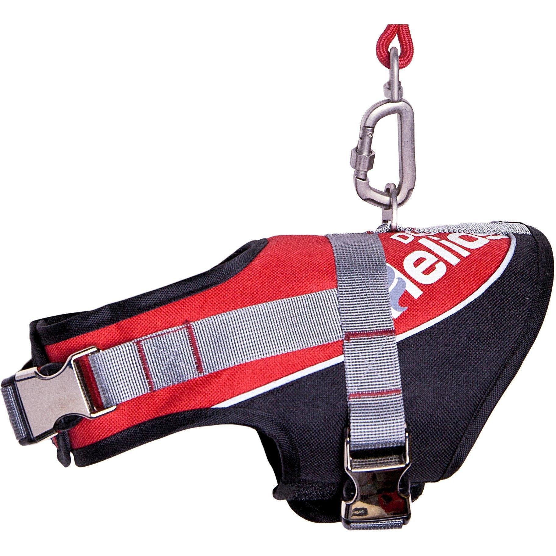 Dog Helios ® 'Bark-Mudder' 2-in-1 Reflective and Adjustable Sporty Dog Harness and Leash - BIG FRENCHIES