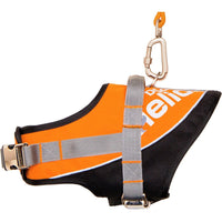 Dog Helios ® 'Bark-Mudder' 2-in-1 Reflective and Adjustable Sporty Dog Harness and Leash - BIG FRENCHIES