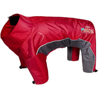 Dog Helios ® Blizzard Full-Bodied Adjustable and 3M Reflective Dog Jacket - BIG FRENCHIES