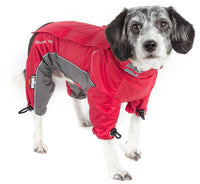 Dog Helios ® Blizzard Full-Bodied Adjustable and 3M Reflective Dog Jacket - BIG FRENCHIES