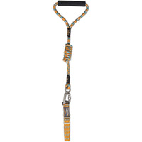 Dog Helios ® 'Dura-Tough' 2-in-1 Reflective Adjustable Fashion Dog Leash and Collar - BIG FRENCHIES