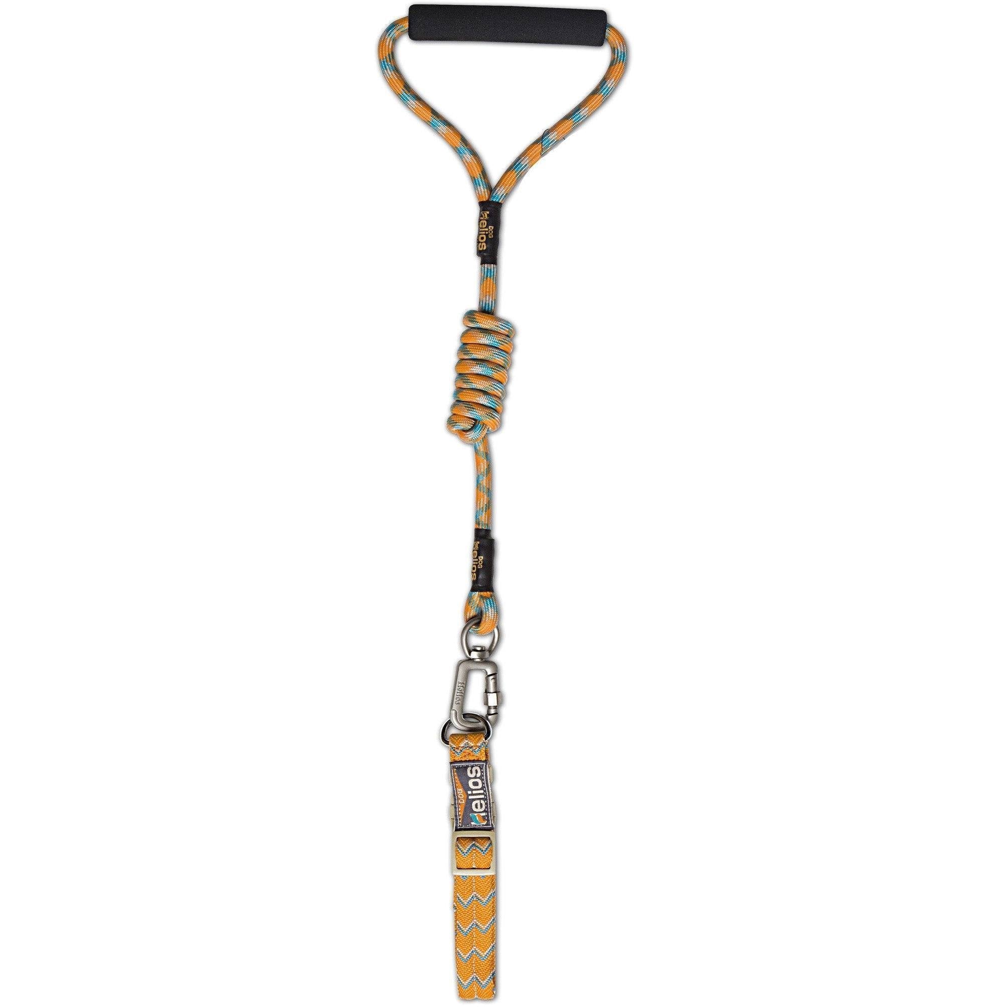 Dog Helios ® 'Dura-Tough' 2-in-1 Reflective Adjustable Fashion Dog Leash and Collar - BIG FRENCHIES