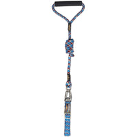 Dog Helios ® 'Dura-Tough' 2-in-1 Reflective Adjustable Fashion Dog Leash and Collar - BIG FRENCHIES