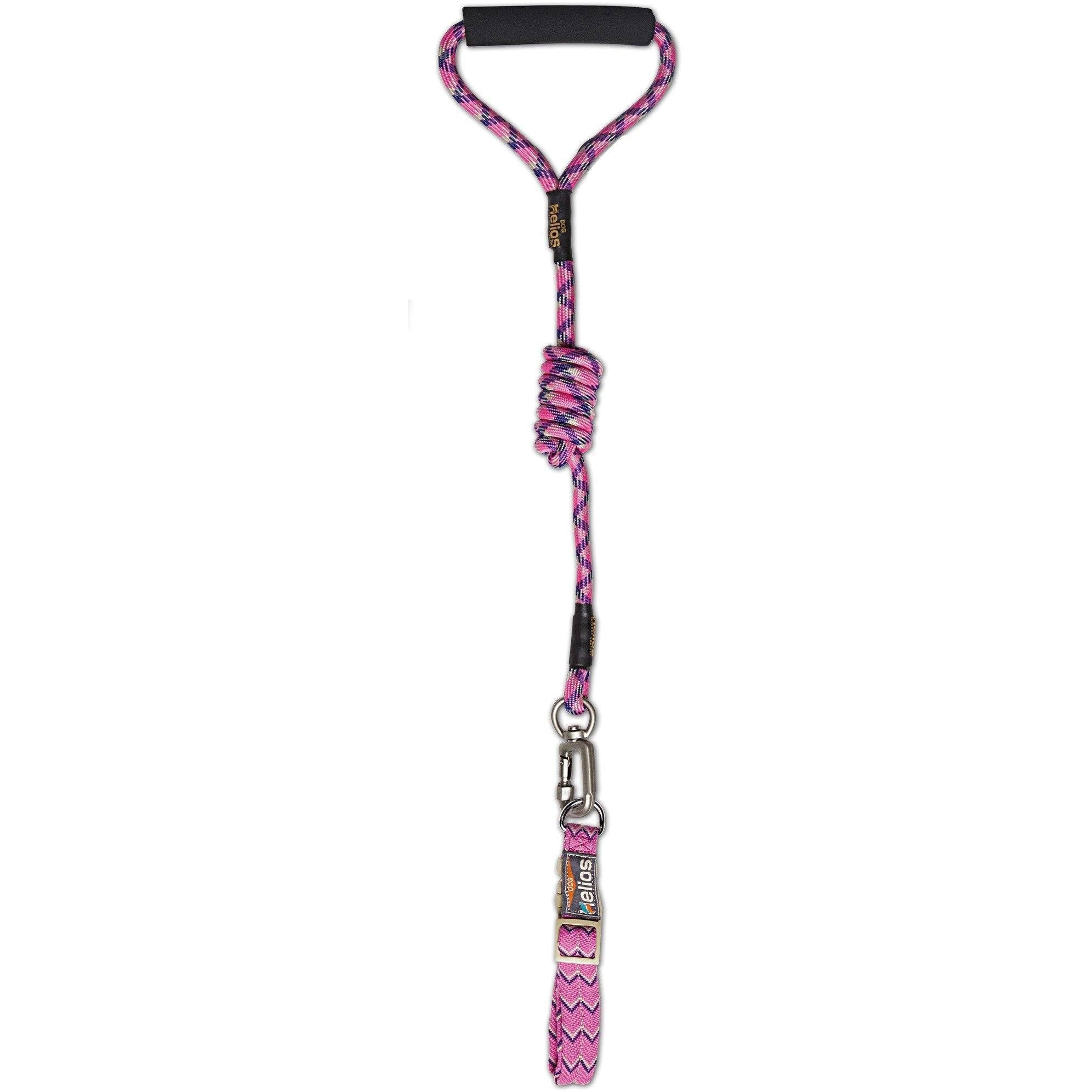 Dog Helios ® 'Dura-Tough' 2-in-1 Reflective Adjustable Fashion Dog Leash and Collar - BIG FRENCHIES