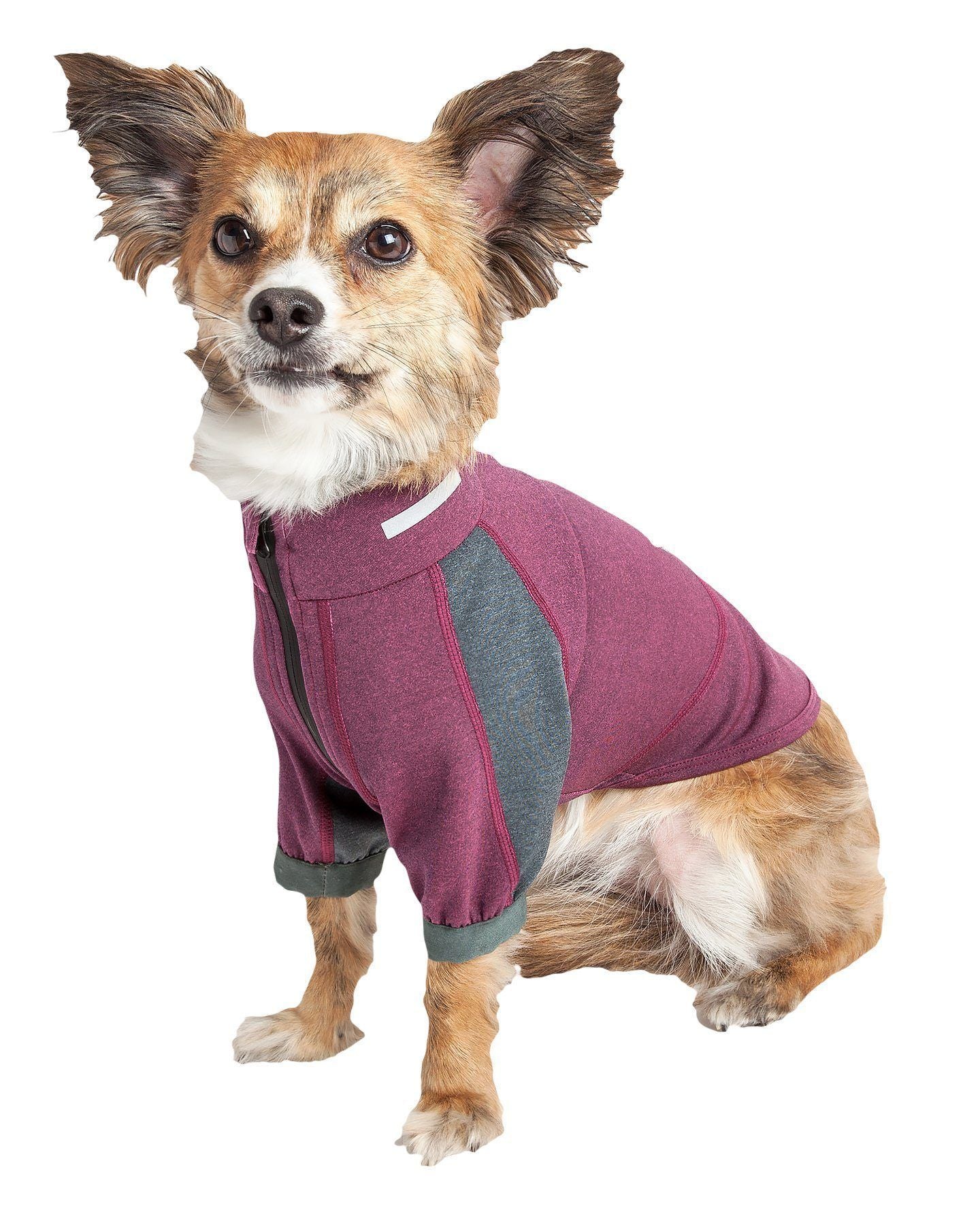Dog Helios ® 'Eboneflow' Mediumweight 4-Way-Stretch Flexible And Breathable Performance Dog Yoga T-Shirt - BIG FRENCHIES
