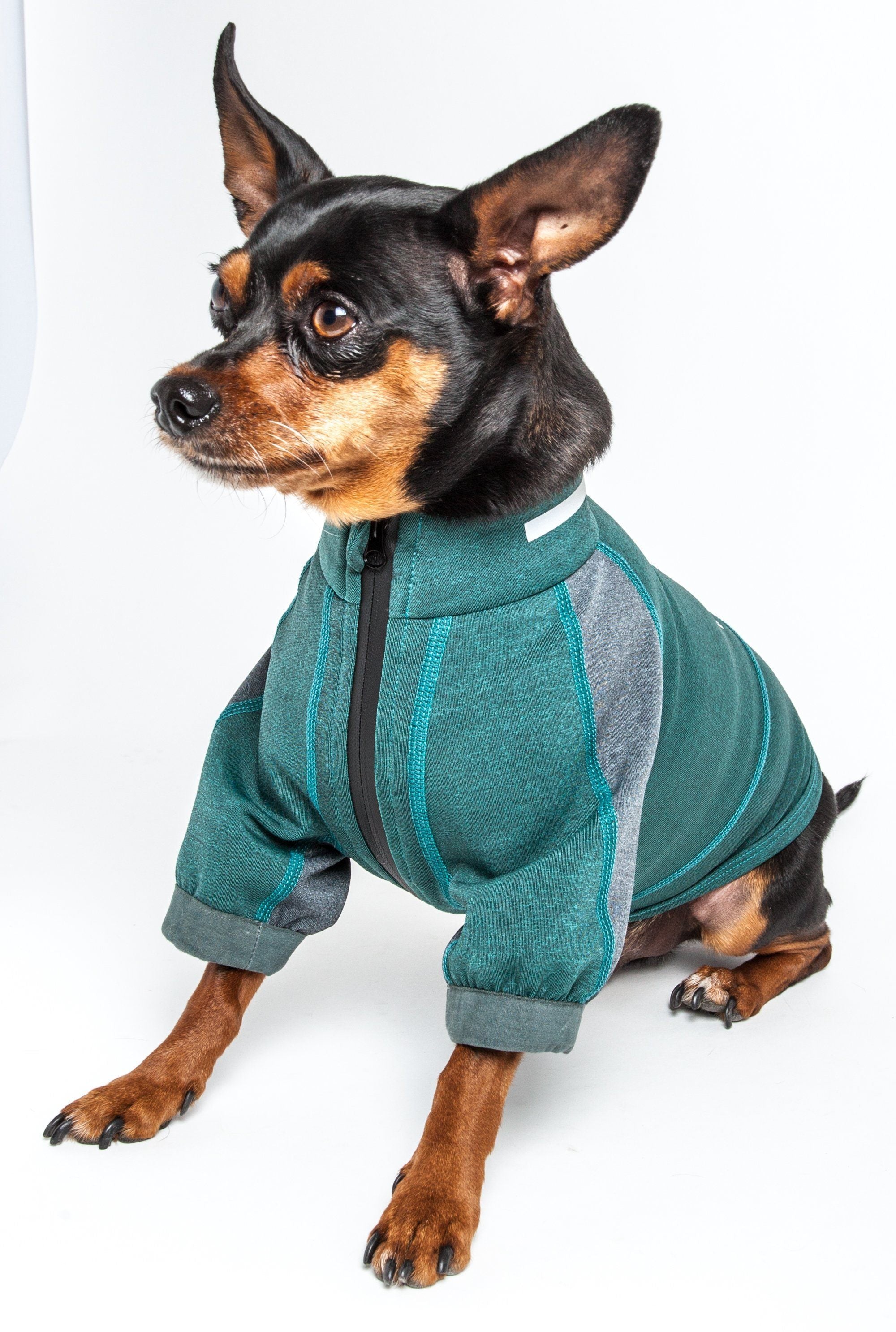 Dog Helios ® 'Eboneflow' Mediumweight 4-Way-Stretch Flexible And Breathable Performance Dog Yoga T-Shirt - BIG FRENCHIES
