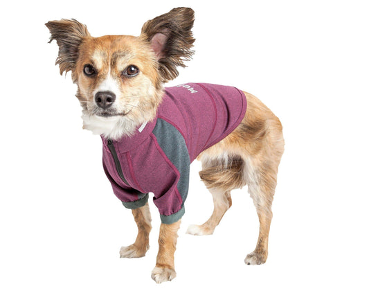 Dog Helios ® 'Eboneflow' Mediumweight 4-Way-Stretch Flexible And Breathable Performance Dog Yoga T-Shirt - BIG FRENCHIES