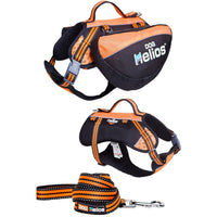 Dog Helios ® Freestyle 3-in-1 Explorer Sporty Convertible Waterproof Dog Backpack Harness - BIG FRENCHIES