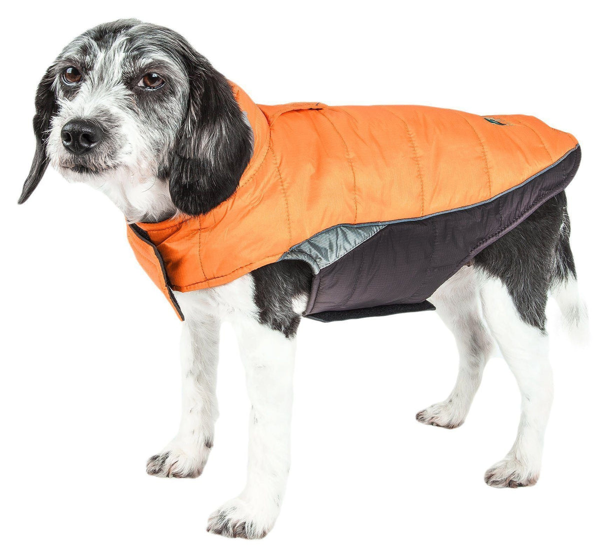 Dog Helios ® Hurricane-Waded Plush 3M Reflective Insulated Winter Dog Coat - BIG FRENCHIES