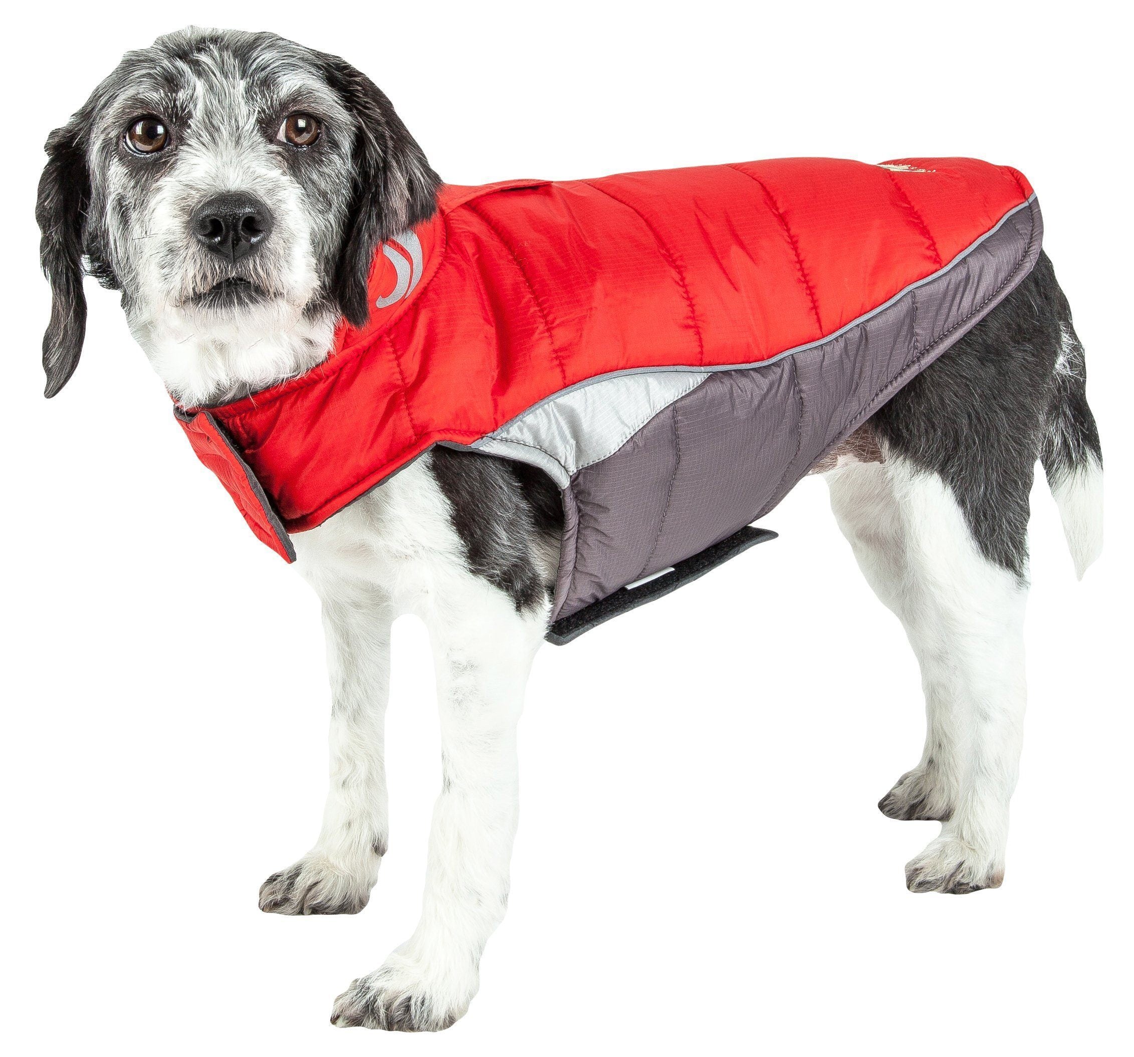 Dog Helios ® Hurricane-Waded Plush 3M Reflective Insulated Winter Dog Coat - BIG FRENCHIES