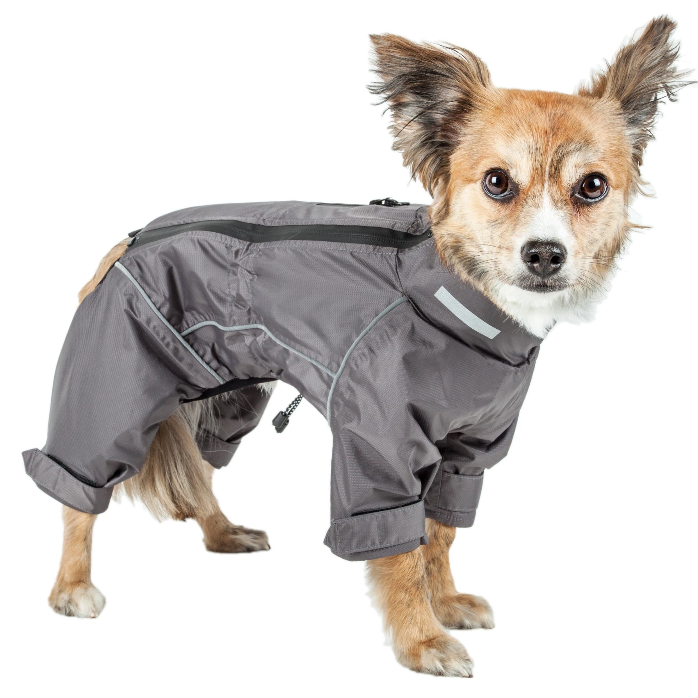 Dog Helios ® 'Hurricanine' Waterproof and Reflective Full Body Dog Coat - BIG FRENCHIES