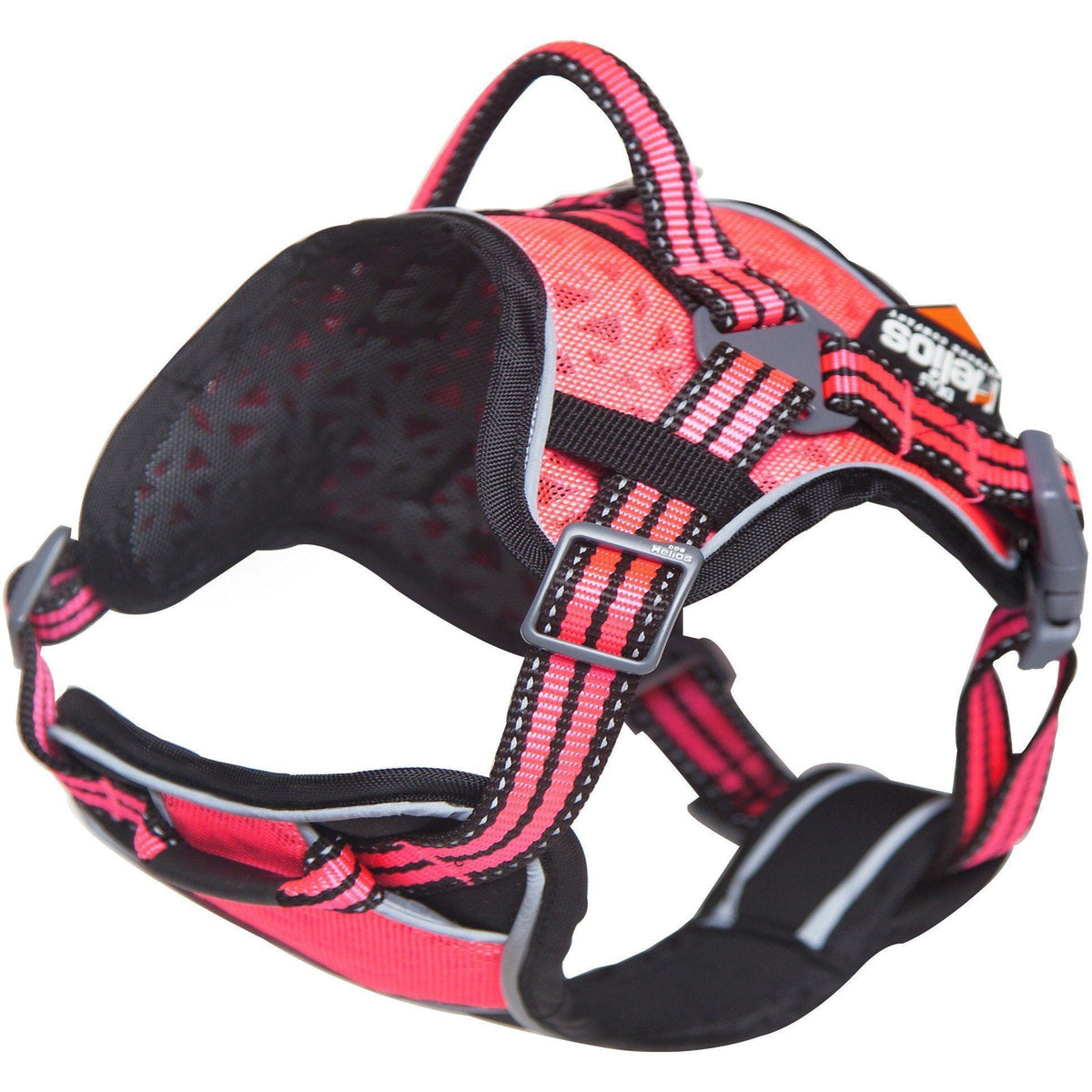 Dog Helios ® 'Journey Wander' Chest Compressive Sporty Adjustable Dog Harness and Leash - BIG FRENCHIES