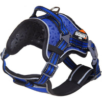 Dog Helios ® 'Journey Wander' Chest Compressive Sporty Adjustable Dog Harness and Leash - BIG FRENCHIES
