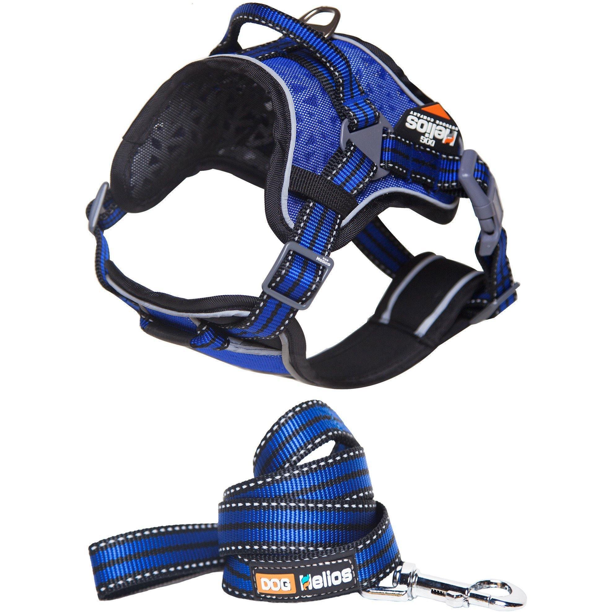 Dog Helios ® 'Journey Wander' Chest Compressive Sporty Adjustable Dog Harness and Leash - BIG FRENCHIES