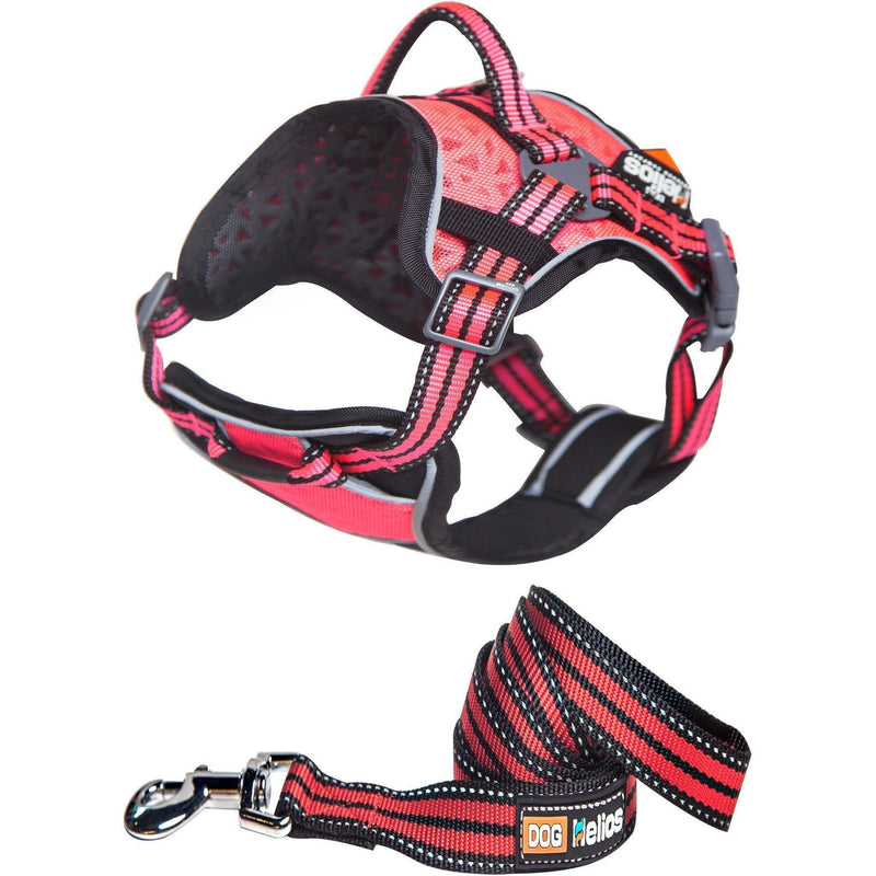 Dog Helios ® 'Journey Wander' Chest Compressive Sporty Adjustable Dog Harness and Leash - BIG FRENCHIES