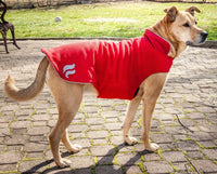 Dog Helios ® Lotus-Rusher 2-in-1 Dual-Removable Layered Performance Dog Jacket - BIG FRENCHIES