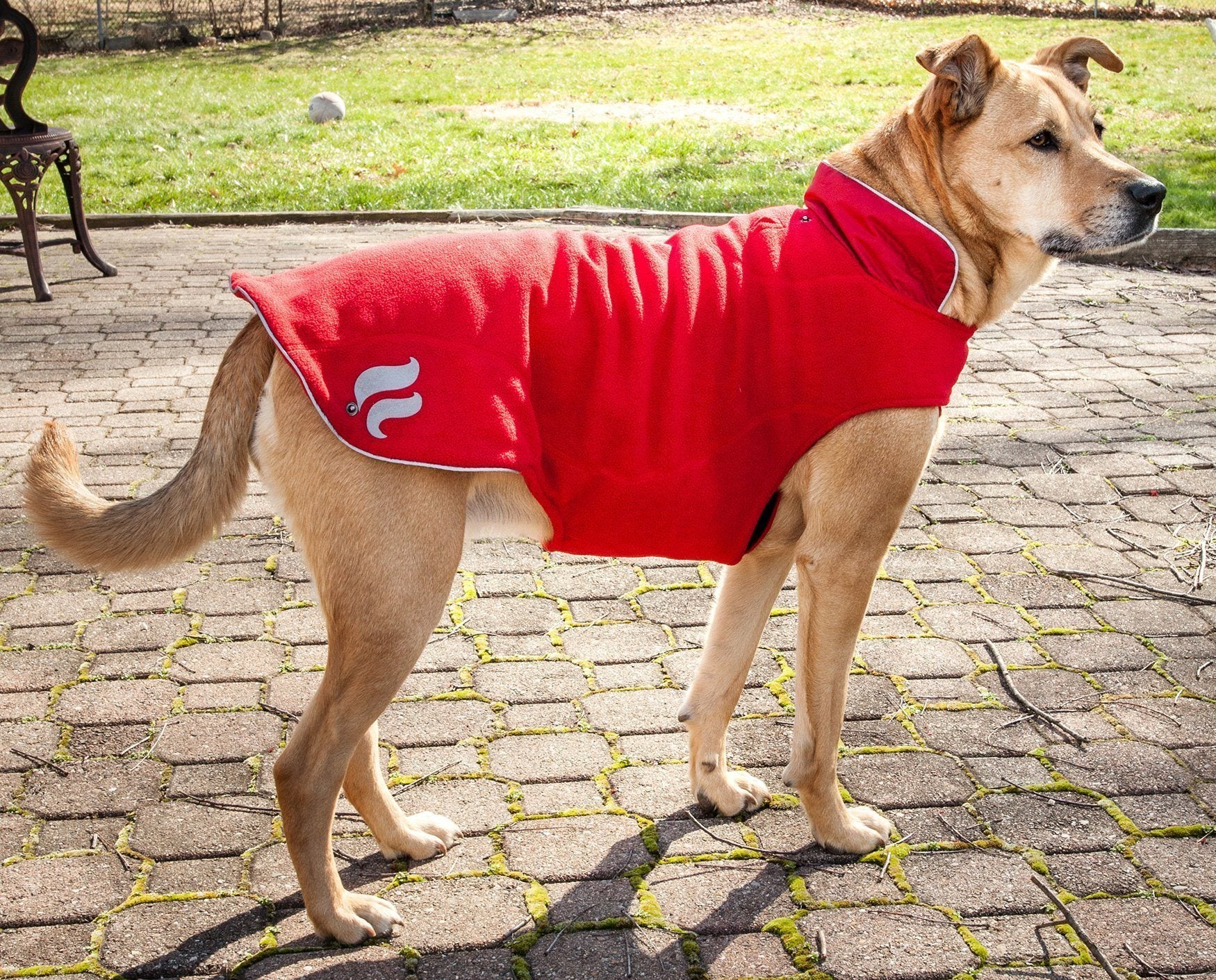 Dog Helios ® Lotus-Rusher 2-in-1 Dual-Removable Layered Performance Dog Jacket - BIG FRENCHIES