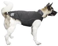 Dog Helios ® Lotus-Rusher 2-in-1 Dual-Removable Layered Performance Dog Jacket - BIG FRENCHIES
