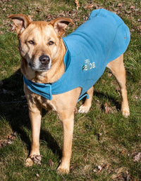 Dog Helios ® Lotus-Rusher 2-in-1 Dual-Removable Layered Performance Dog Jacket - BIG FRENCHIES