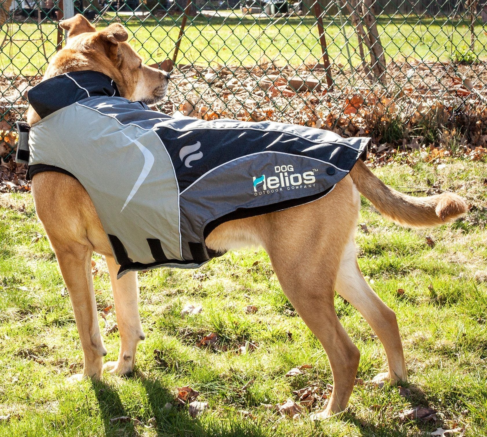 Dog Helios ® Lotus-Rusher 2-in-1 Dual-Removable Layered Performance Dog Jacket - BIG FRENCHIES