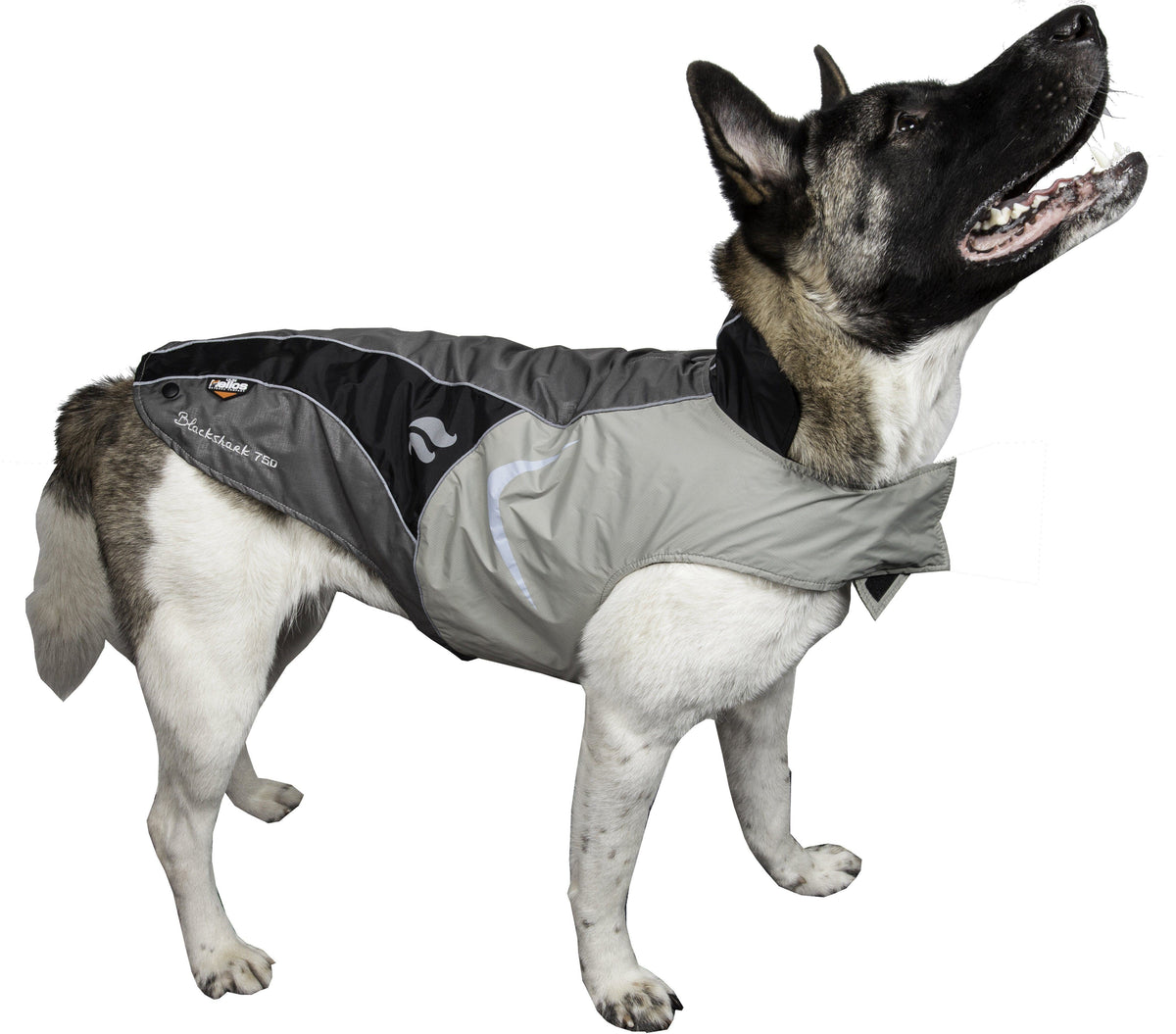 Dog Helios ® Lotus-Rusher 2-in-1 Dual-Removable Layered Performance Dog Jacket - BIG FRENCHIES