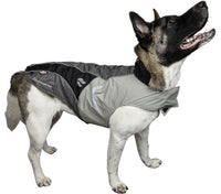 Dog Helios ® Lotus-Rusher 2-in-1 Dual-Removable Layered Performance Dog Jacket - BIG FRENCHIES