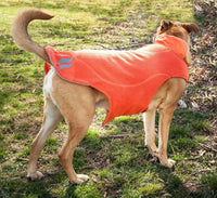 Dog Helios ® Lotus-Rusher 2-in-1 Dual-Removable Layered Performance Dog Jacket - BIG FRENCHIES