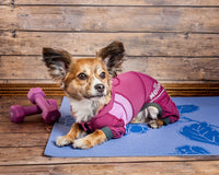 Dog Helios ® 'Namastail' Lightweight 4-Way-Stretch Yoga Performance Dog Tracksuit Hoodie - BIG FRENCHIES
