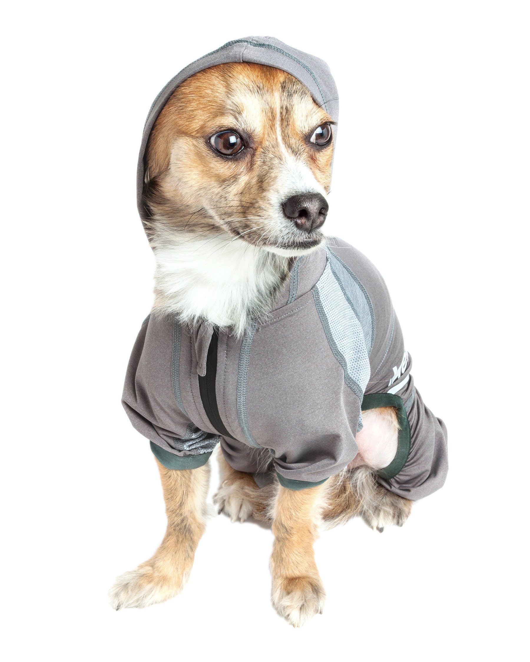 Dog Helios ® 'Namastail' Lightweight 4-Way-Stretch Yoga Performance Dog Tracksuit Hoodie - BIG FRENCHIES