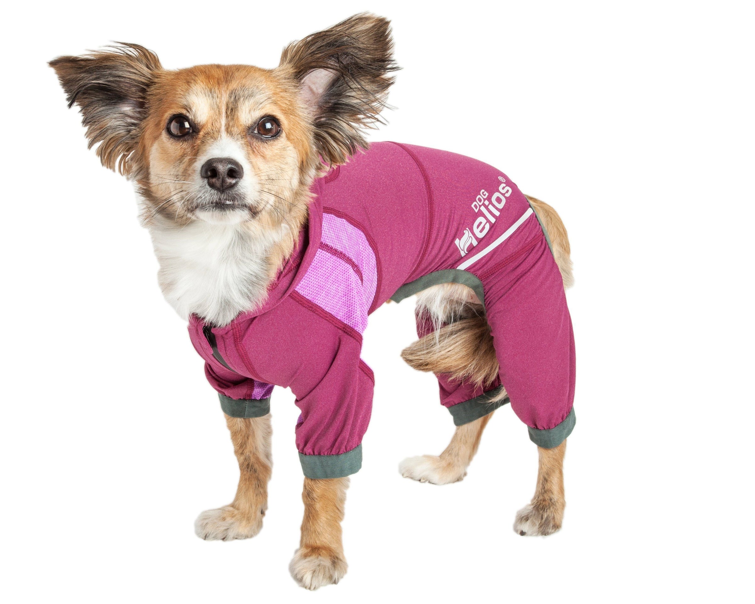 Dog Helios ® 'Namastail' Lightweight 4-Way-Stretch Yoga Performance Dog Tracksuit Hoodie - BIG FRENCHIES