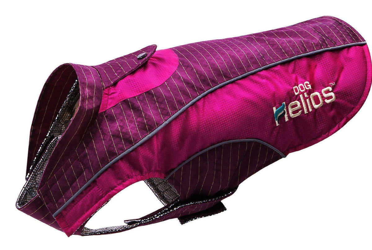 Dog Helios ® 'Reflecta-Bolt' Tri-Hook-and-Loop Waterproof Performance Dog Coat - BIG FRENCHIES