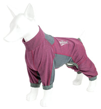 Dog Helios ® 'Rufflex' Mediumweight 4-Way-Stretch Fitness Yoga Dog Tracksuit Jacket - BIG FRENCHIES