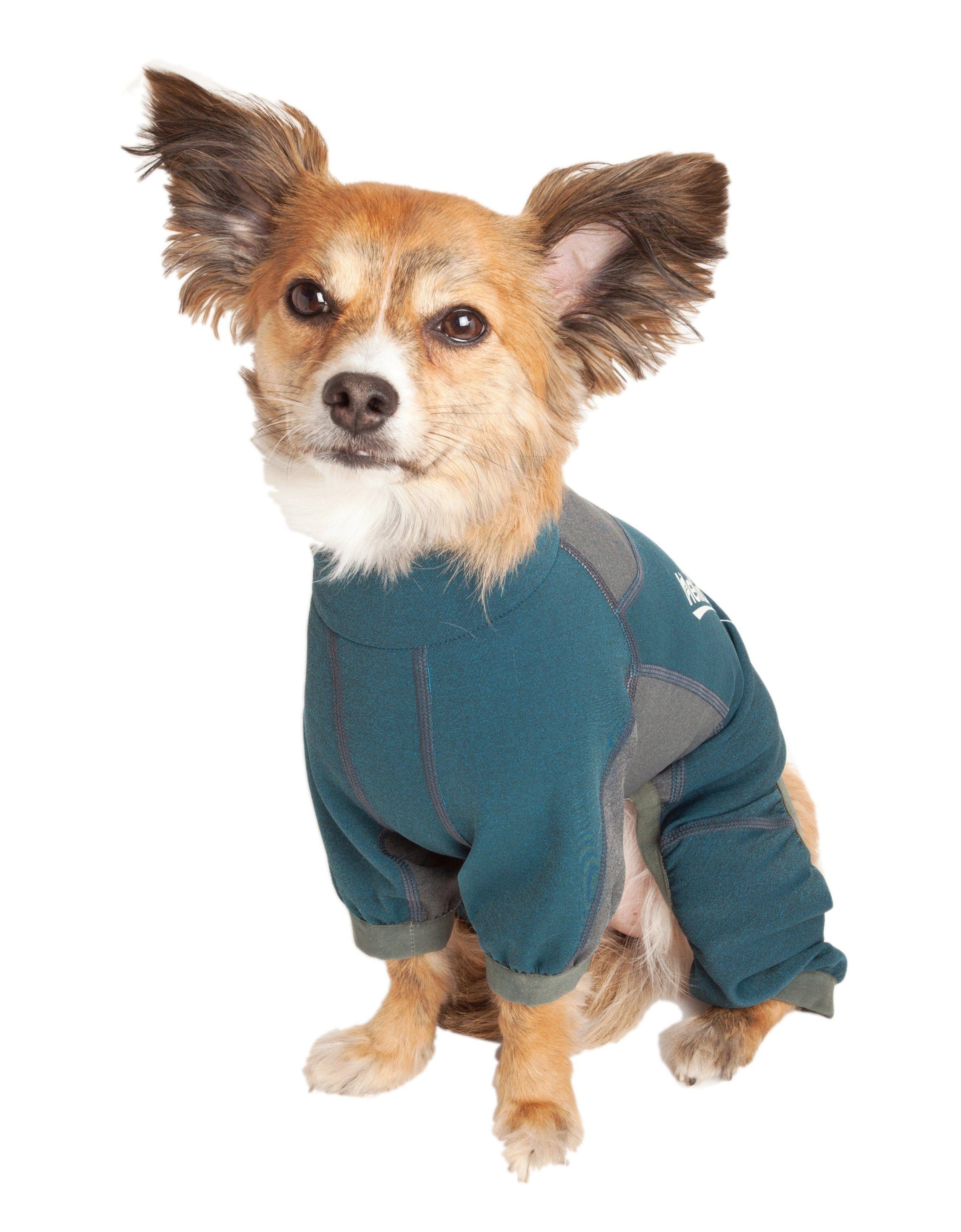 Dog Helios ® 'Rufflex' Mediumweight 4-Way-Stretch Fitness Yoga Dog Tracksuit Jacket - BIG FRENCHIES