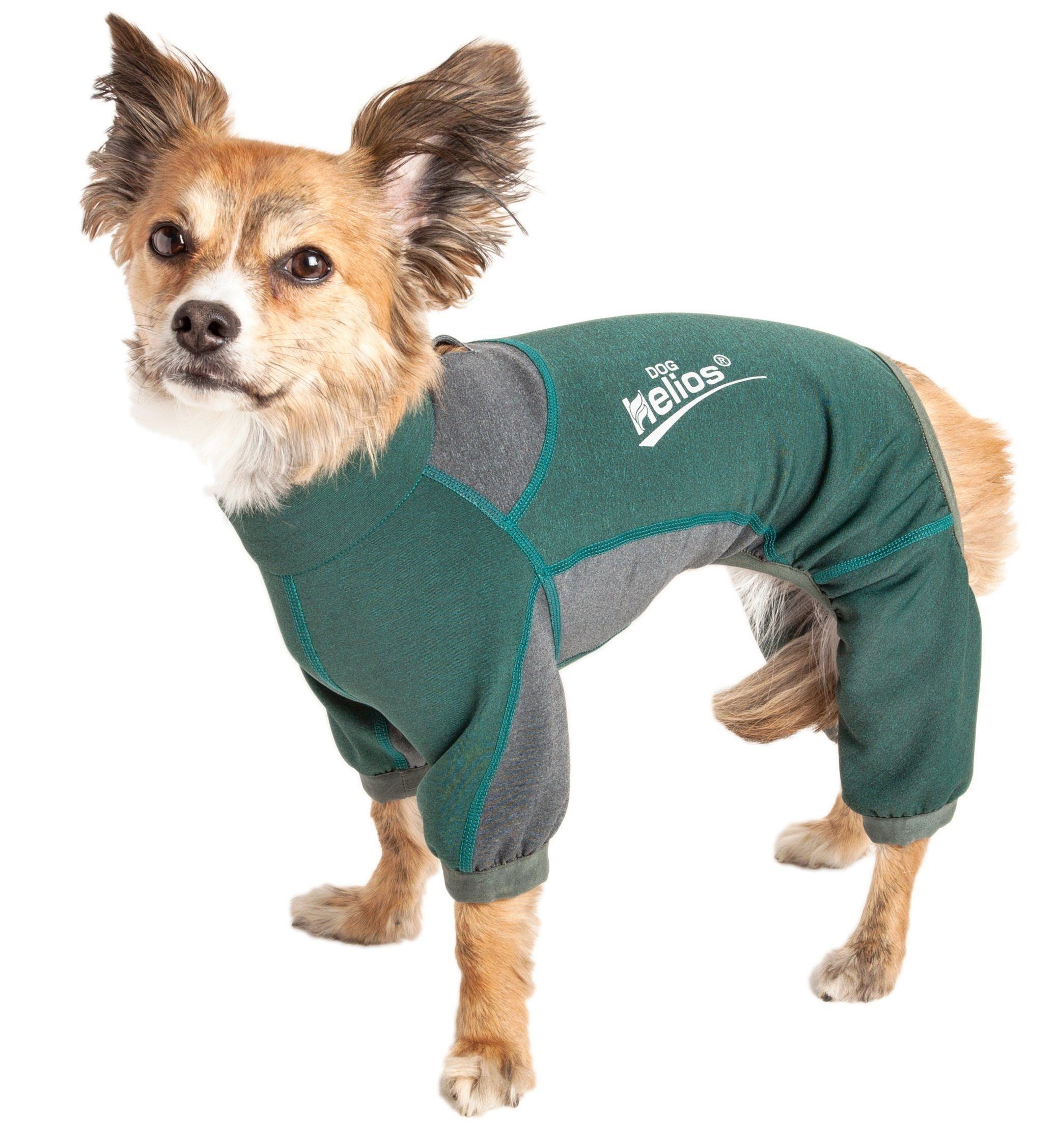 Dog Helios ® 'Rufflex' Mediumweight 4-Way-Stretch Fitness Yoga Dog Tracksuit Jacket - BIG FRENCHIES