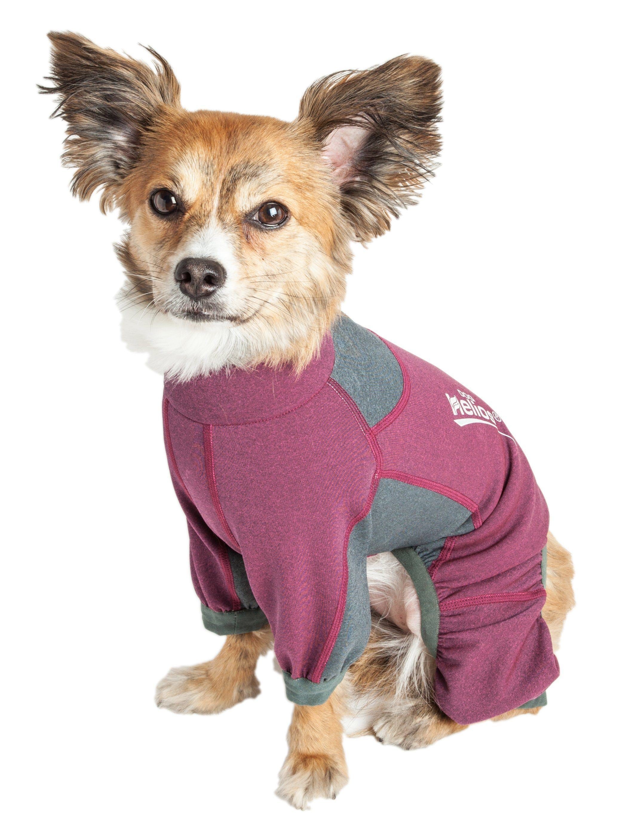 Dog Helios ® 'Rufflex' Mediumweight 4-Way-Stretch Fitness Yoga Dog Tracksuit Jacket - BIG FRENCHIES
