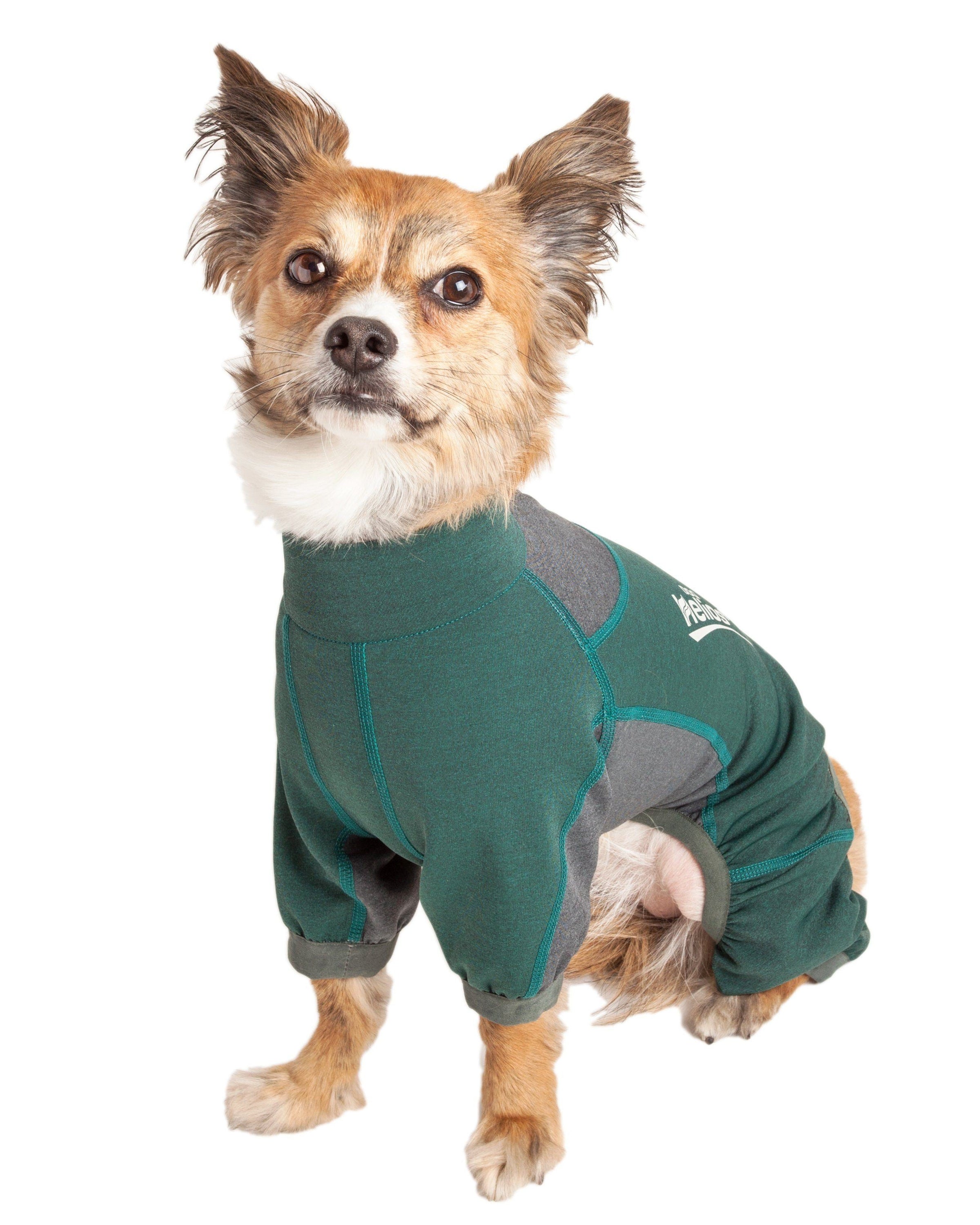 Dog Helios ® 'Rufflex' Mediumweight 4-Way-Stretch Fitness Yoga Dog Tracksuit Jacket - BIG FRENCHIES