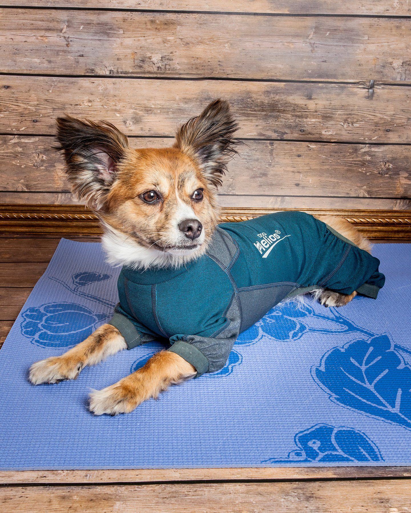 Dog Helios ® 'Rufflex' Mediumweight 4-Way-Stretch Fitness Yoga Dog Tracksuit Jacket - BIG FRENCHIES