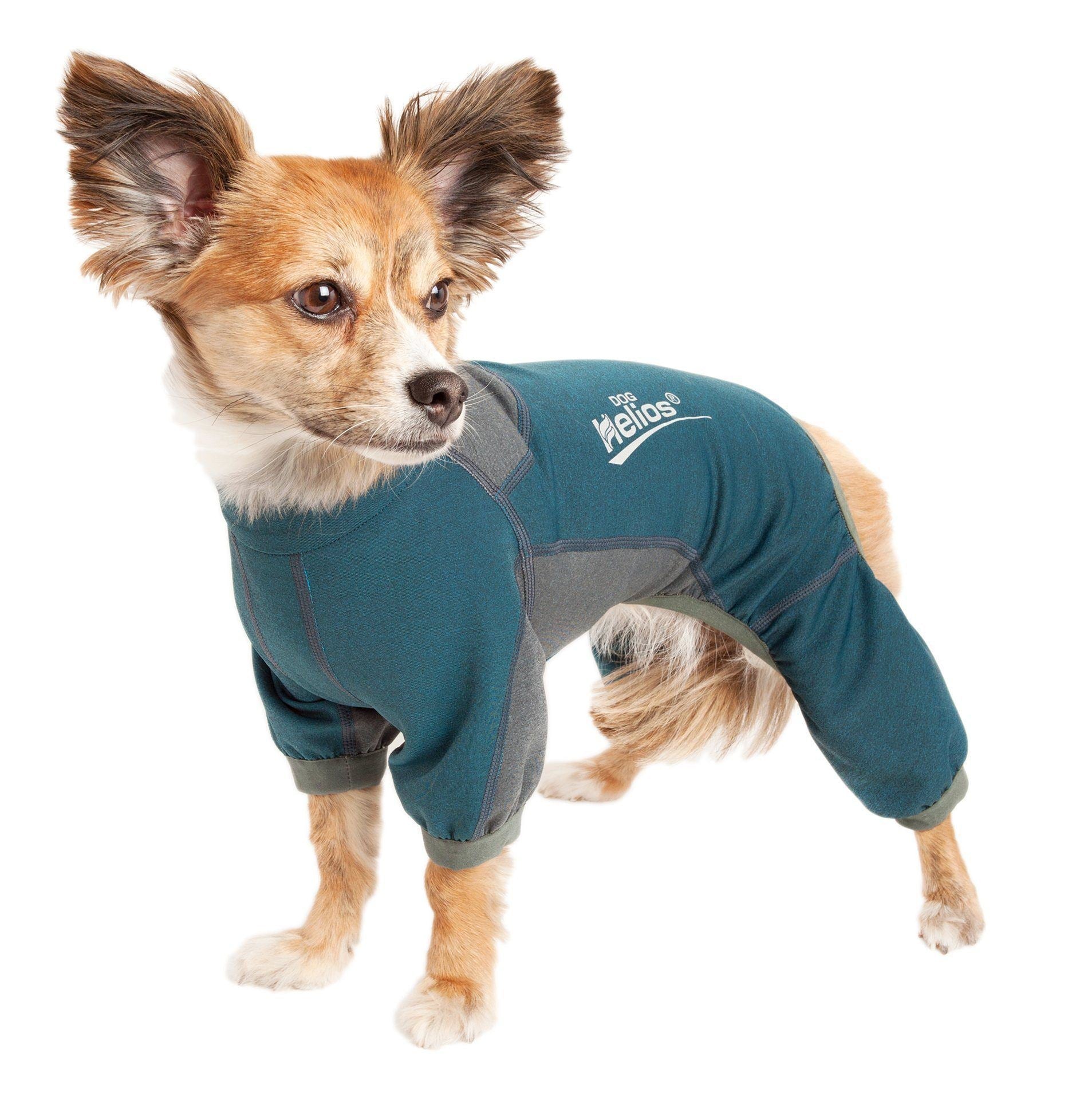 Dog Helios ® 'Rufflex' Mediumweight 4-Way-Stretch Fitness Yoga Dog Tracksuit Jacket - BIG FRENCHIES