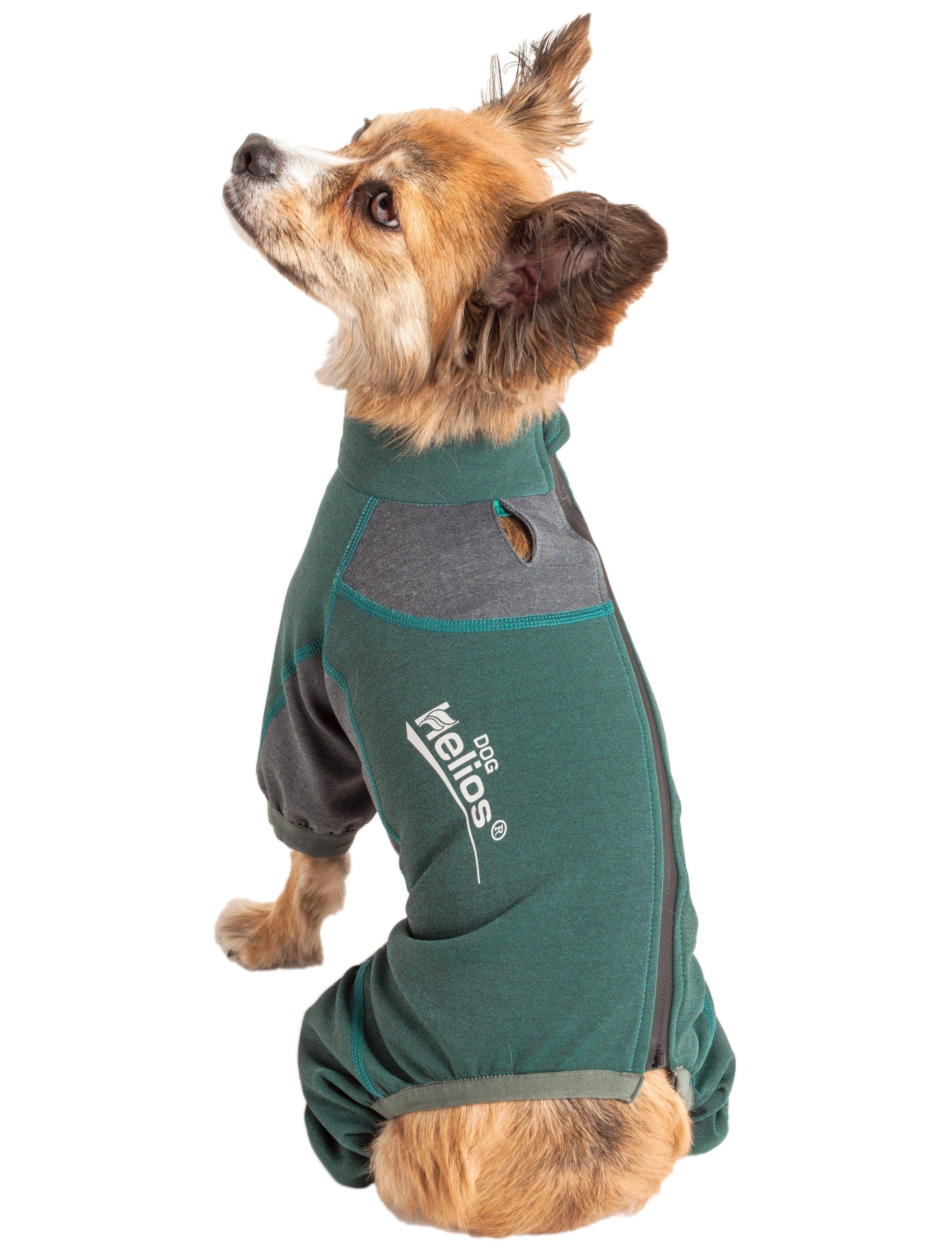 Dog Helios ® 'Rufflex' Mediumweight 4-Way-Stretch Fitness Yoga Dog Tracksuit Jacket - BIG FRENCHIES