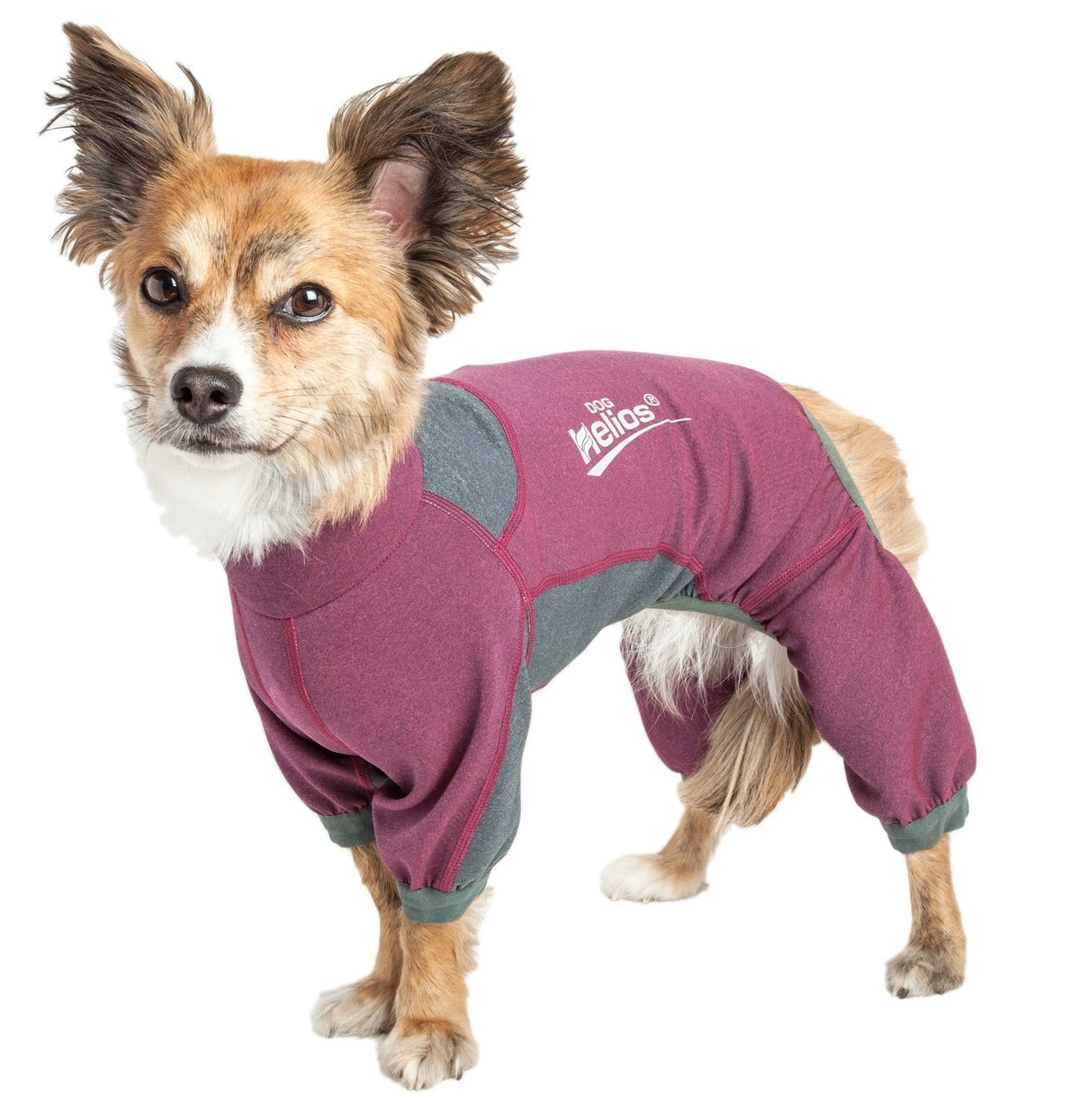 Dog Helios ® 'Rufflex' Mediumweight 4-Way-Stretch Fitness Yoga Dog Tracksuit Jacket - BIG FRENCHIES
