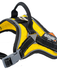 Dog Helios ® 'Scorpion' Sporty High-Performance Free-Range Dog Harness - BIG FRENCHIES