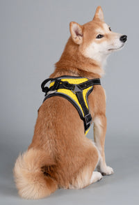 Dog Helios ® 'Scorpion' Sporty High-Performance Free-Range Dog Harness - BIG FRENCHIES