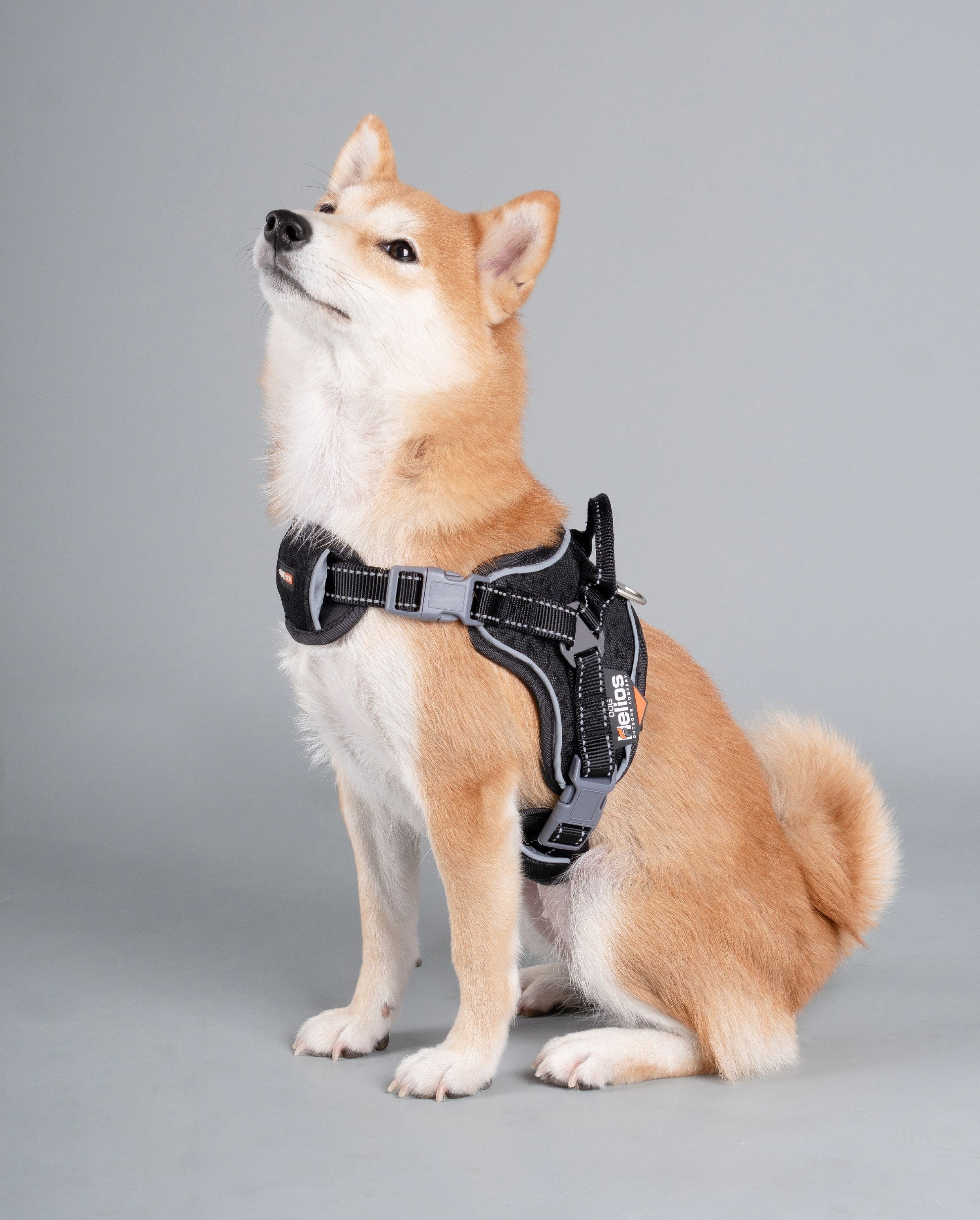 Dog Helios ® 'Scorpion' Sporty High-Performance Free-Range Dog Harness - BIG FRENCHIES