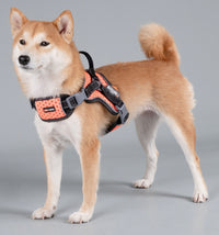 Dog Helios ® 'Scorpion' Sporty High-Performance Free-Range Dog Harness - BIG FRENCHIES