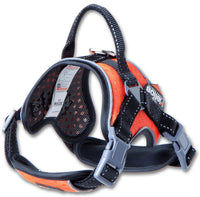 Dog Helios ® 'Scorpion' Sporty High-Performance Free-Range Dog Harness - BIG FRENCHIES