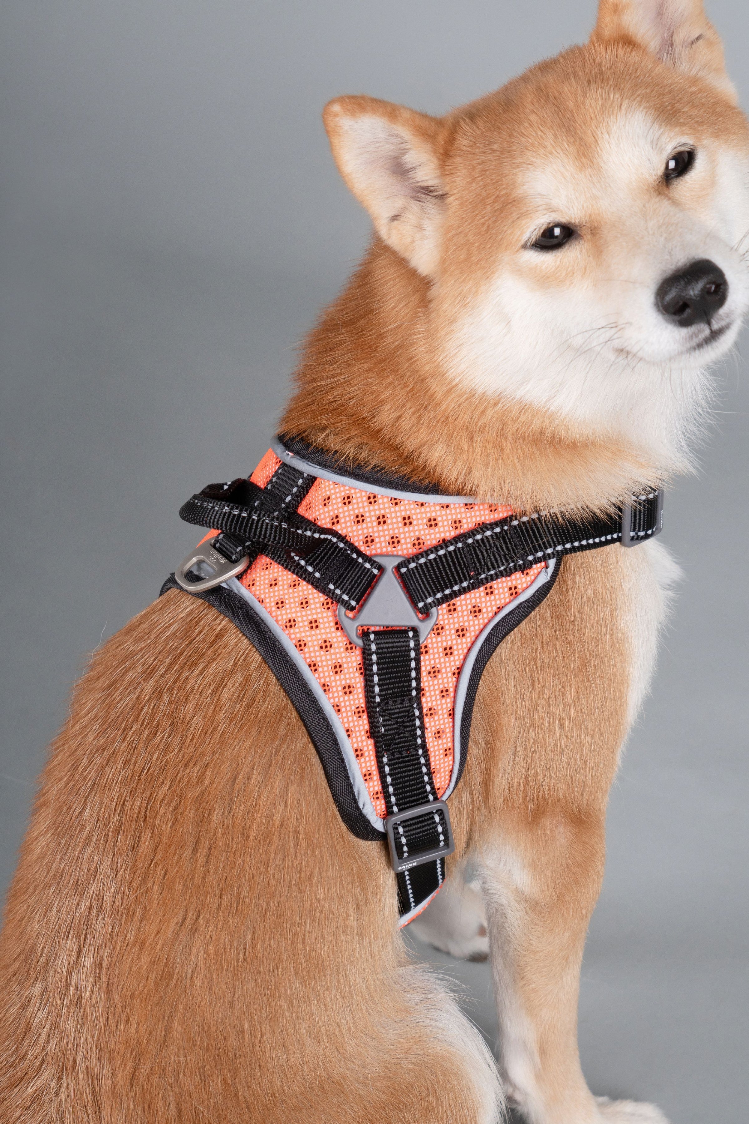 Dog Helios ® 'Scorpion' Sporty High-Performance Free-Range Dog Harness - BIG FRENCHIES