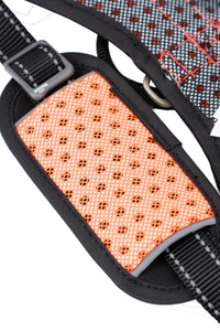 Dog Helios ® 'Scorpion' Sporty High-Performance Free-Range Dog Harness - BIG FRENCHIES