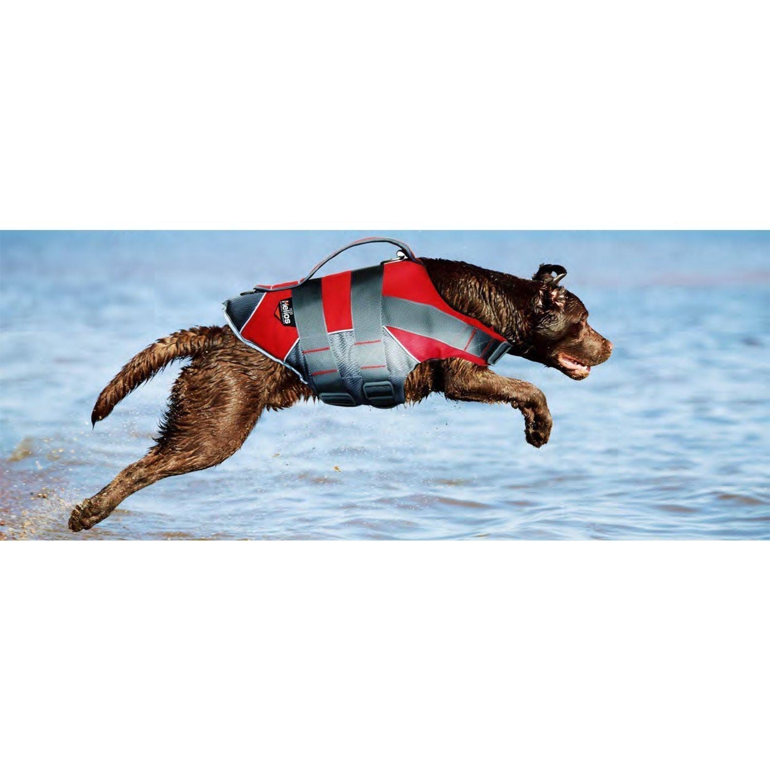 Dog Helios ® 'Splash-Explore' Reflective and Adjustable Floating Safety Dog Life Jacket - BIG FRENCHIES