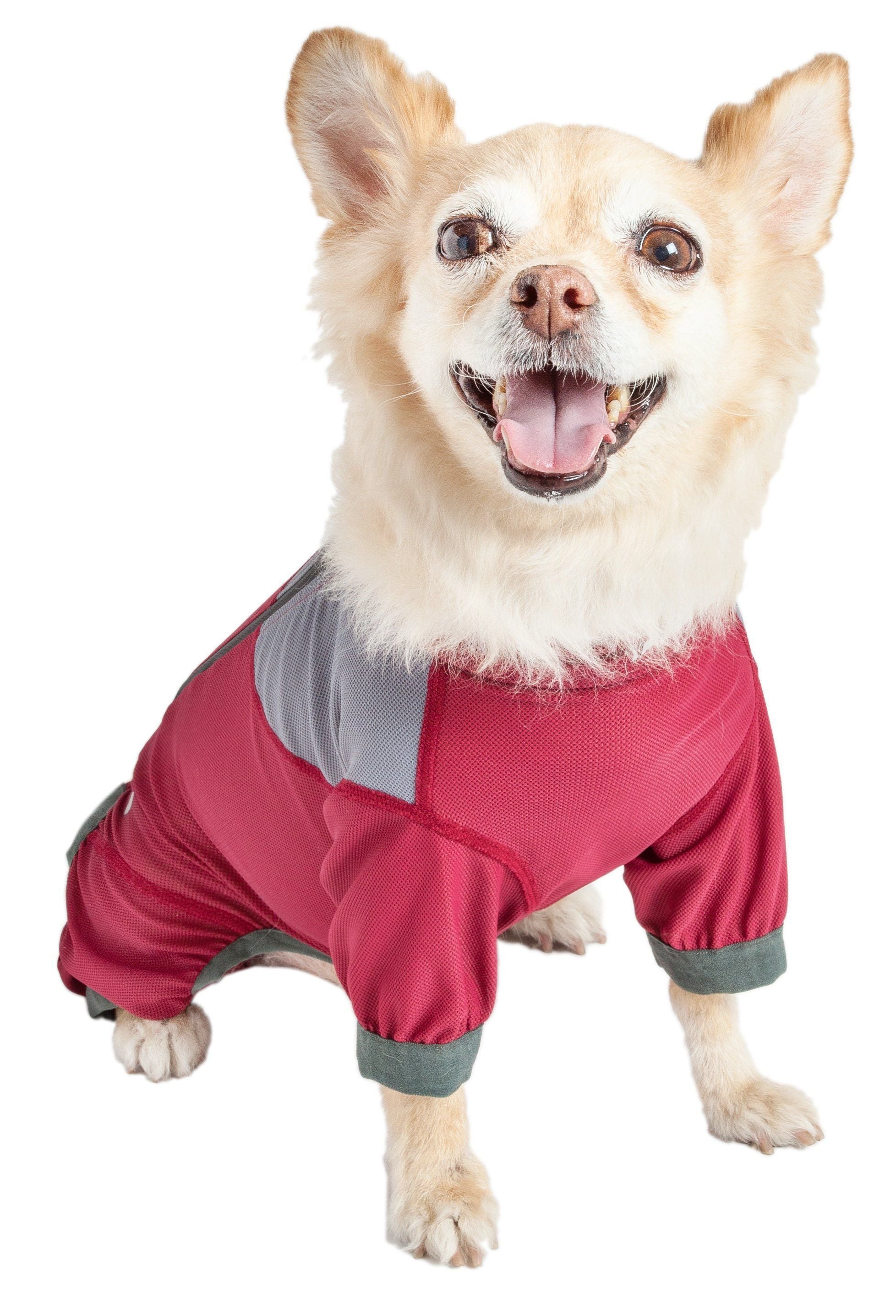 Dog Helios ® 'Tail Runner' Lightweight 4-Way-Stretch Breathable Yoga Dog Tracksuit - BIG FRENCHIES